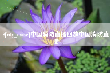 金华中国消防直播回放中国消防直播