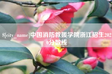 金华中国消防救援学院浙江招生2020分数线