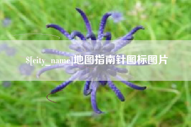 金华地图指南针图标图片