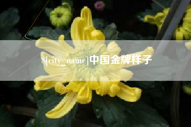 金华中国金牌样子