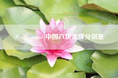金华中国六块金牌分别是