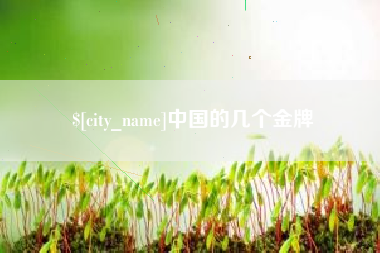 金华中国的几个金牌