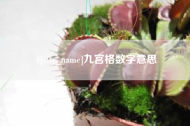金华九宫格数字意思