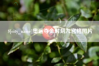 金华奥运夺金时刻九宫格图片