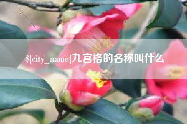 金华九宫格的名称叫什么