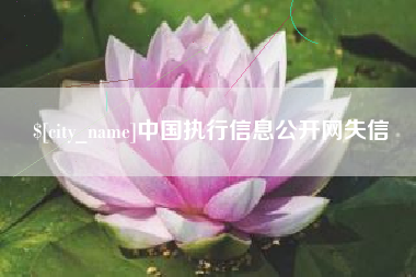 金华中国执行信息公开网失信