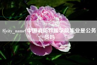 金华中国消防救援学院毕业是公务员吗
