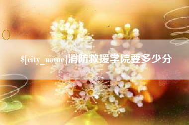 金华消防救援学院要多少分