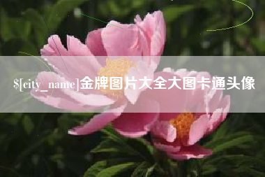 金华金牌图片大全大图卡通头像