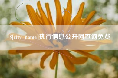 金华执行信息公开网查询免费