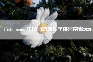 金华中国消防救援学院河南省2020